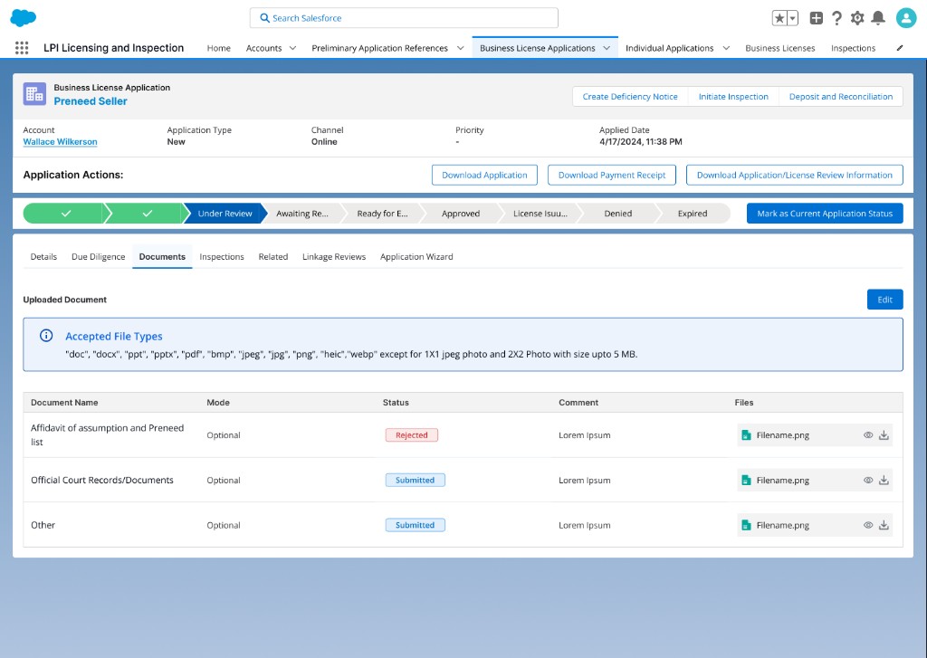 Salesforce business license application review screen with chevron status path, documents tab, and submitted and rejected file triage.